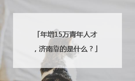 年增15万青年人才，济南靠的是什么？